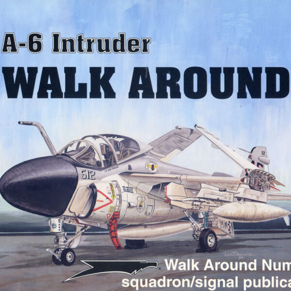 Walk Arround: A-6 Intruder