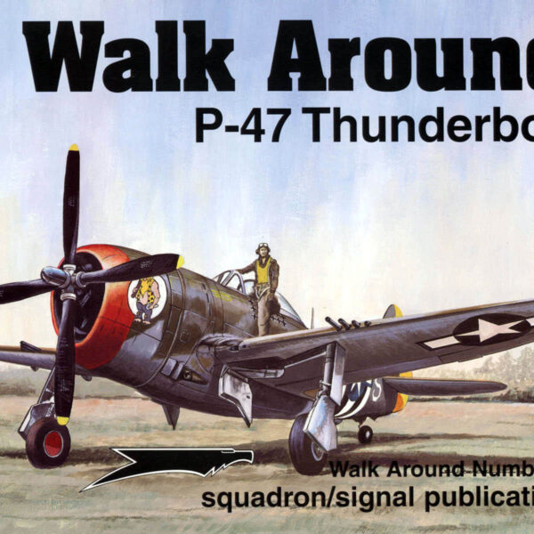 sq5511 Walk Arround: P-47 Thunderbolt